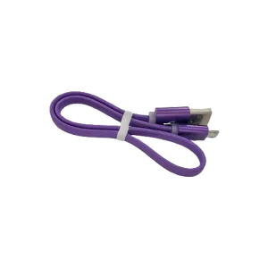 Micro USB Charger